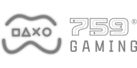 Tiger Slot 40 logo